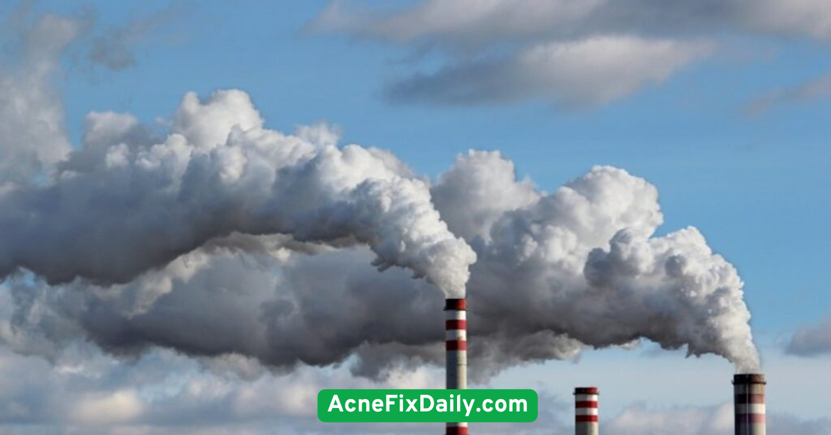 Limit exposure to pollution and environmental toxins